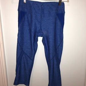 Layer8 Cobalt Blue Cropped Leggings